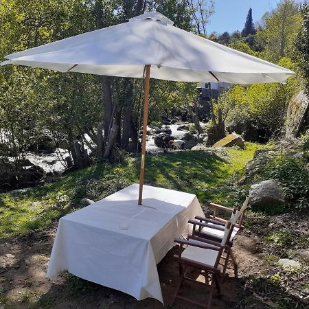 Villa Quinta Dos Carvalhos The Wine House Farm In Center Of Lamego - Capital Of The Douro Extérieur photo