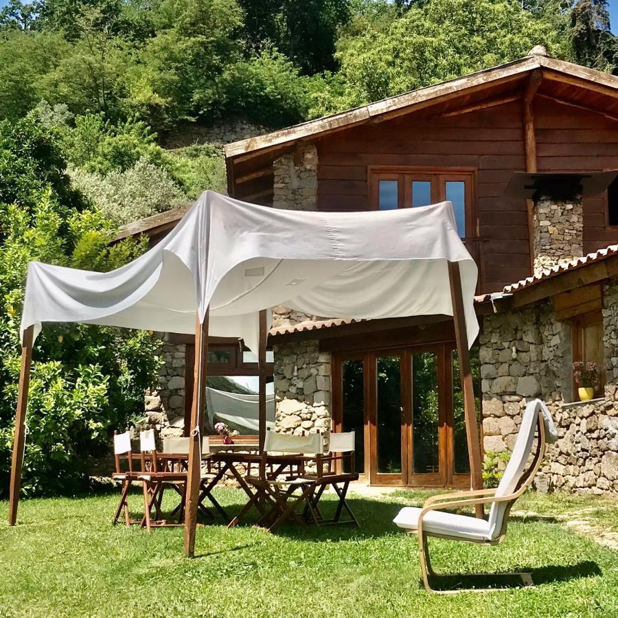 Villa Quinta Dos Carvalhos The Wine House Farm In Center Of Lamego - Capital Of The Douro Extérieur photo