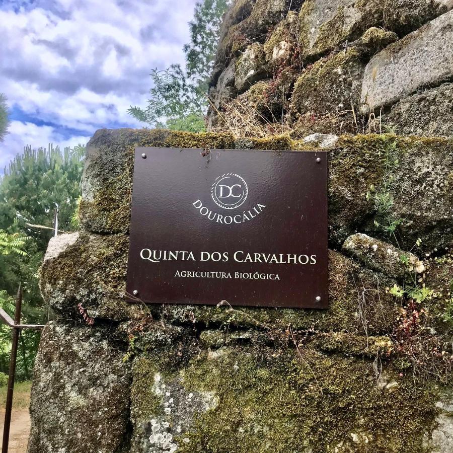 Villa Quinta Dos Carvalhos The Wine House Farm In Center Of Lamego - Capital Of The Douro Extérieur photo