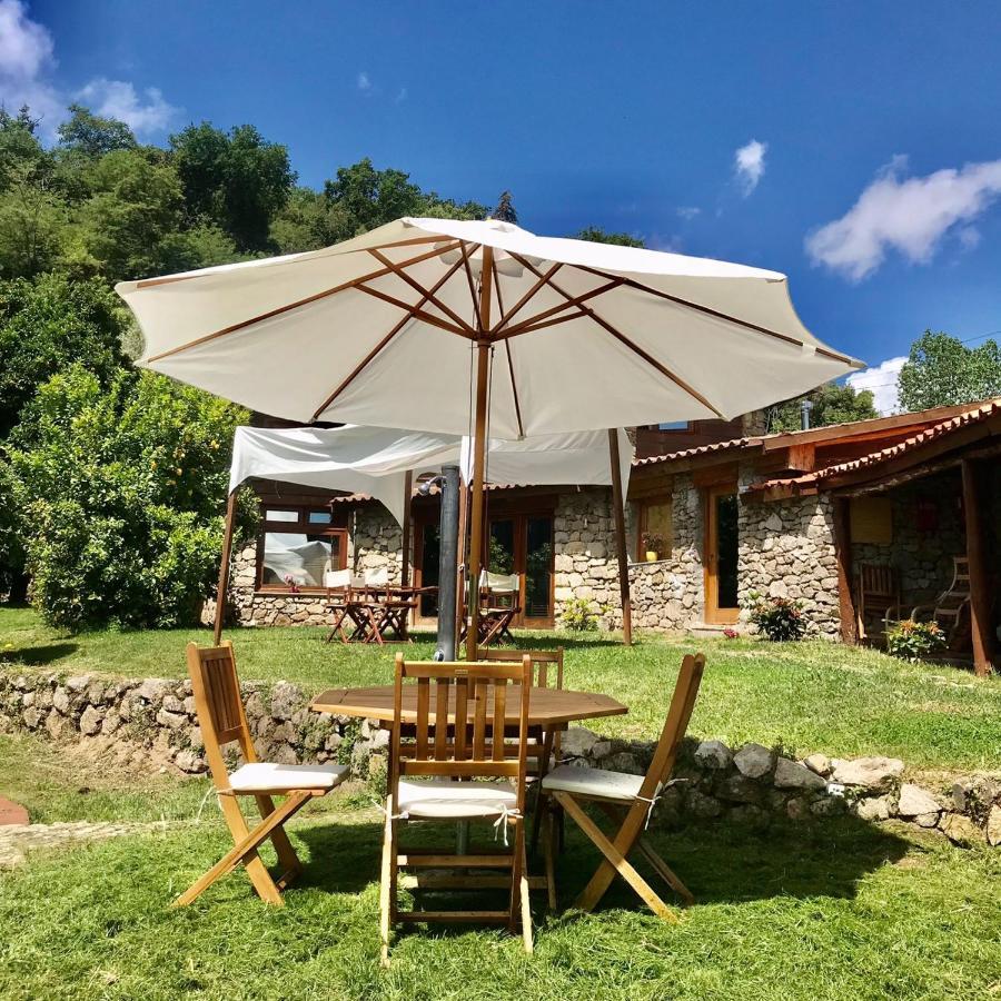 Villa Quinta Dos Carvalhos The Wine House Farm In Center Of Lamego - Capital Of The Douro Extérieur photo