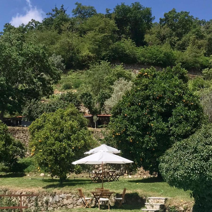 Villa Quinta Dos Carvalhos The Wine House Farm In Center Of Lamego - Capital Of The Douro Extérieur photo