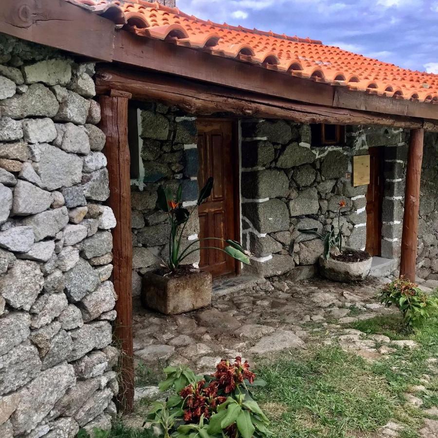 Villa Quinta Dos Carvalhos The Wine House Farm In Center Of Lamego - Capital Of The Douro Extérieur photo