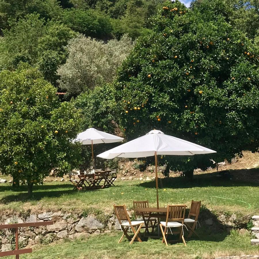 Villa Quinta Dos Carvalhos The Wine House Farm In Center Of Lamego - Capital Of The Douro Extérieur photo