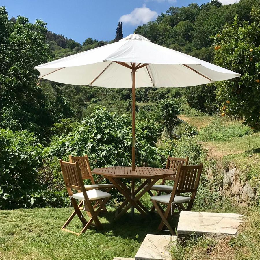 Villa Quinta Dos Carvalhos The Wine House Farm In Center Of Lamego - Capital Of The Douro Extérieur photo